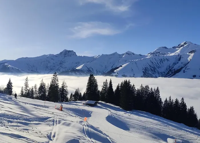 1,5 Zimmer Ferienwohnung Lindenmatte Frutigen Berner Oberland
