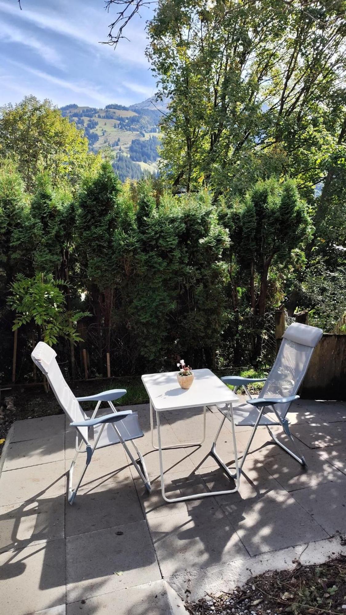 अपार्टमेंट 1,5 Lindenmatte Berner Oberland